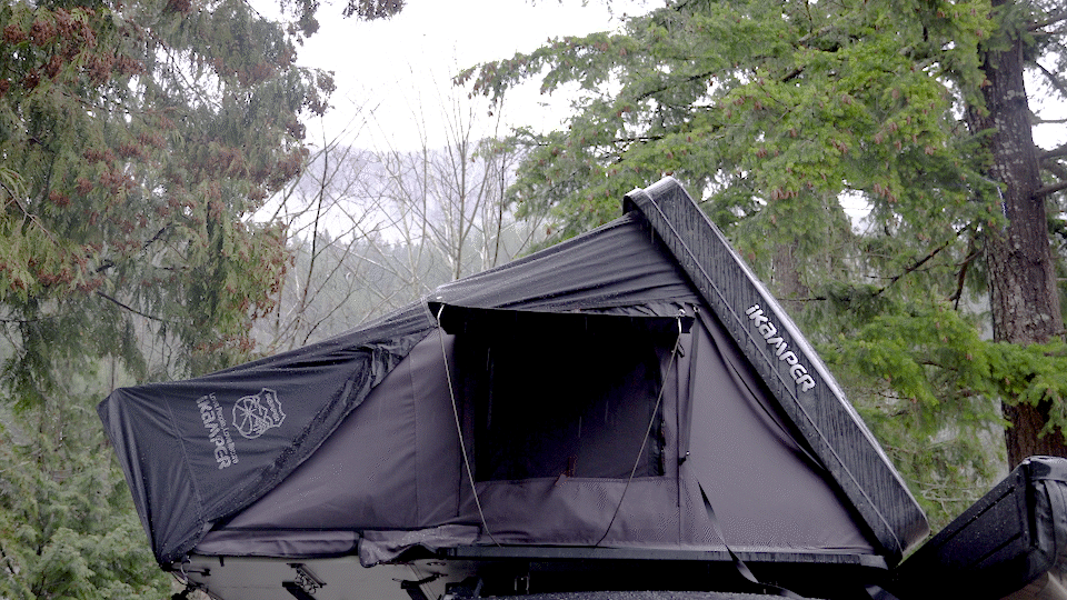 An Asian woman sipping a coffee from a mug and a white Jindo X Border Collie mixed dog look out the window of an iKamper rooftop tent.
